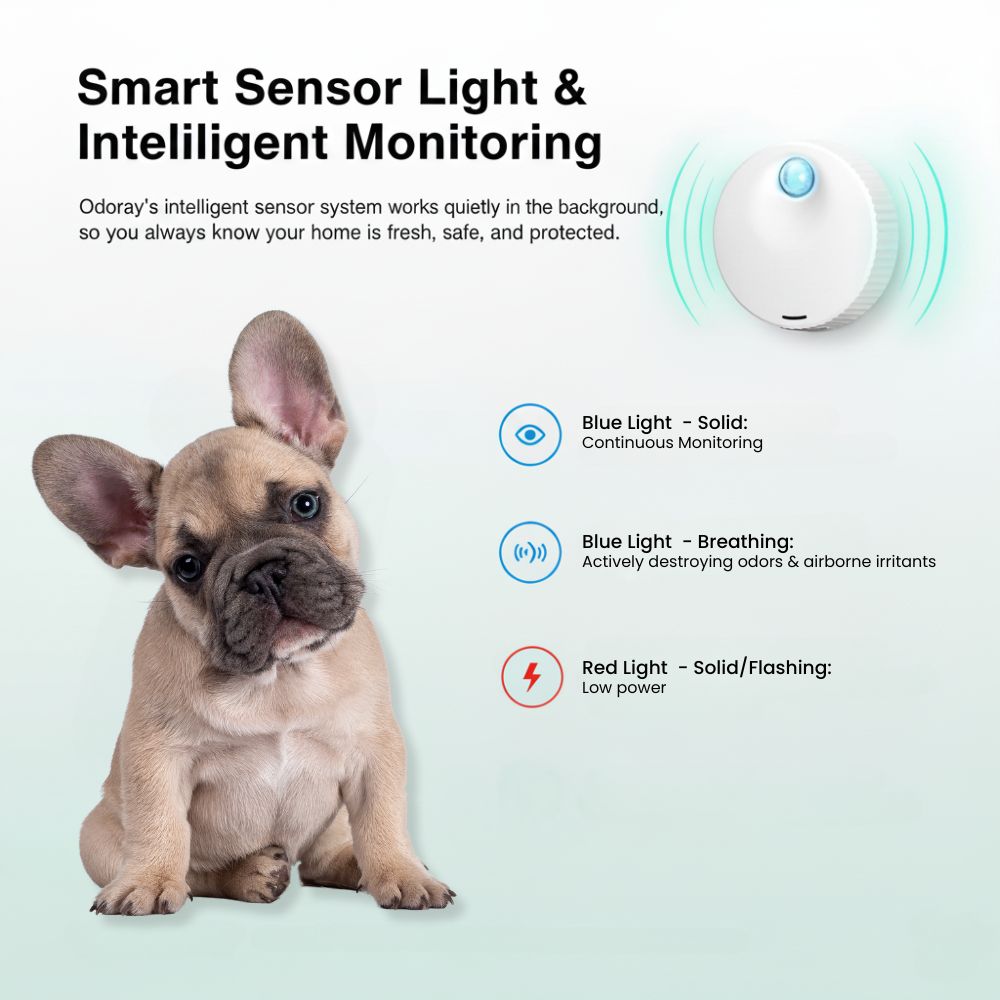 Odoray™ Pet Odor Eraser
