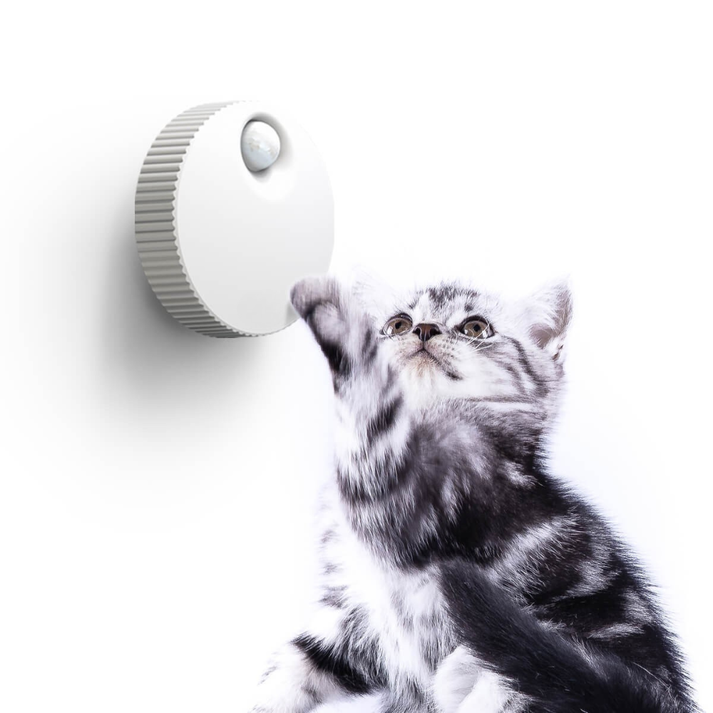 Odoray™ Pet Odor Eraser